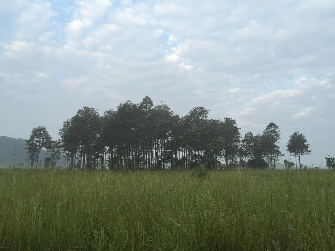 Thung Salaeng Luang National Park景点图片