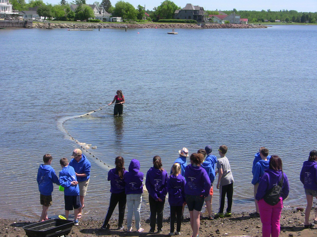 Homarus Centre-Pointe-du-Chene必去景点