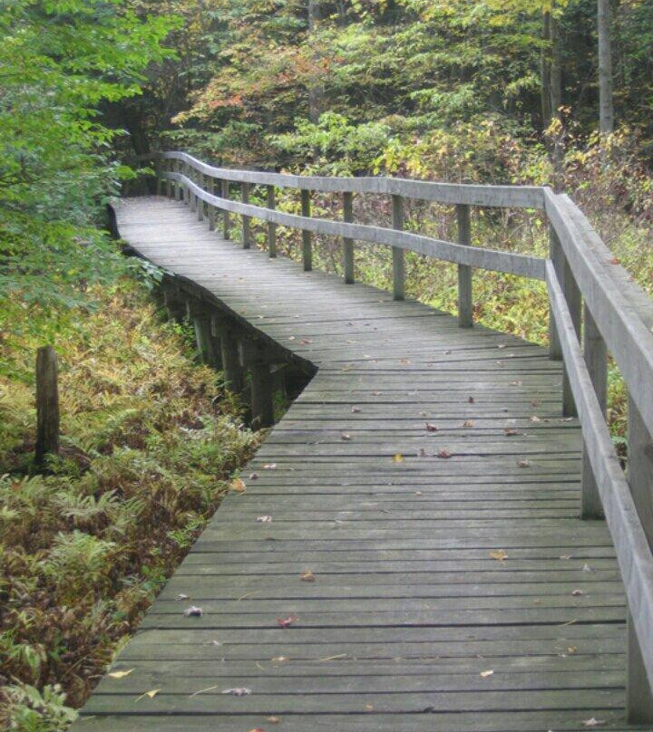 Robert Edmondson Conservation Area-Milton必去景点