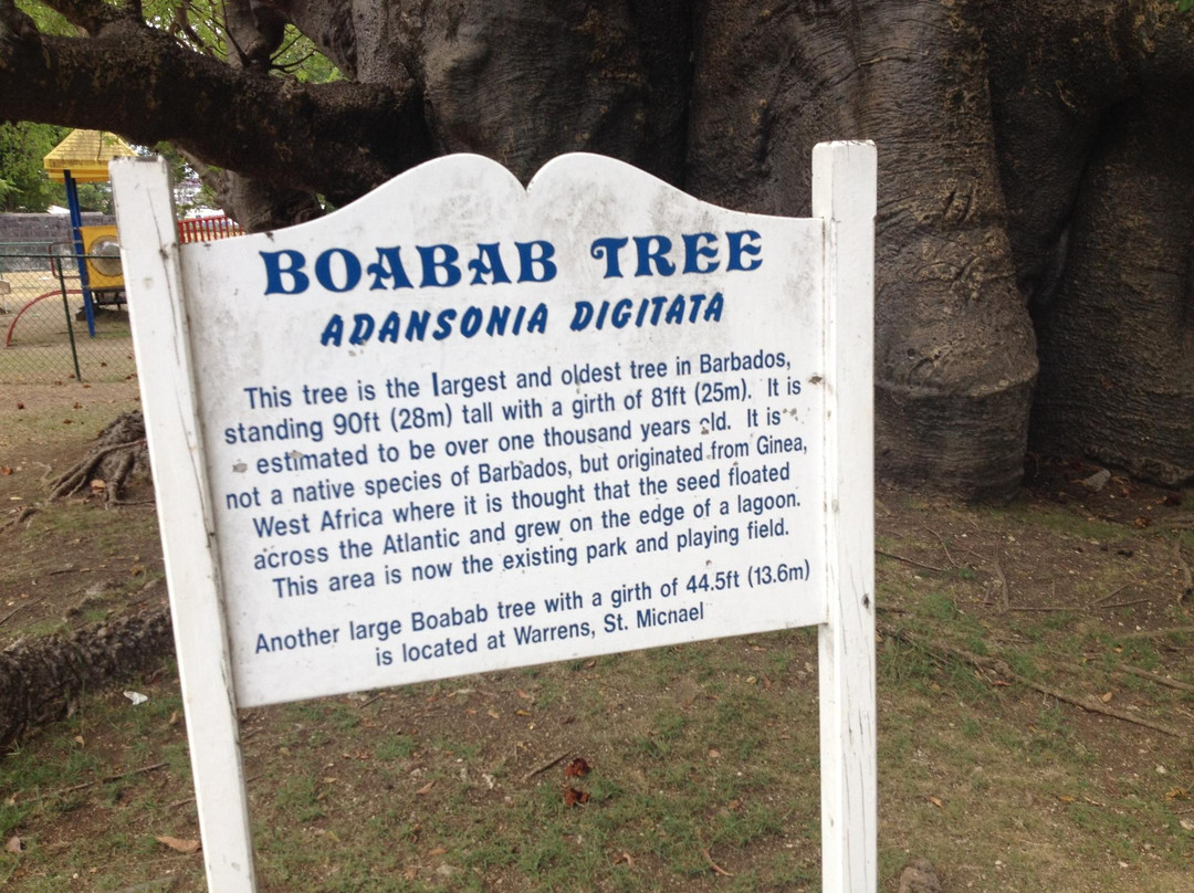 Queen's Park-布里奇顿必去景点