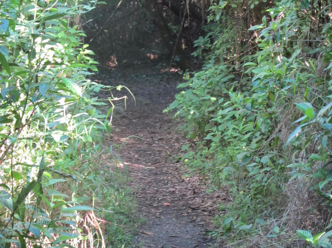 Oslo Riverfront Conservation Area (ORCA)-维罗海滩必去景点