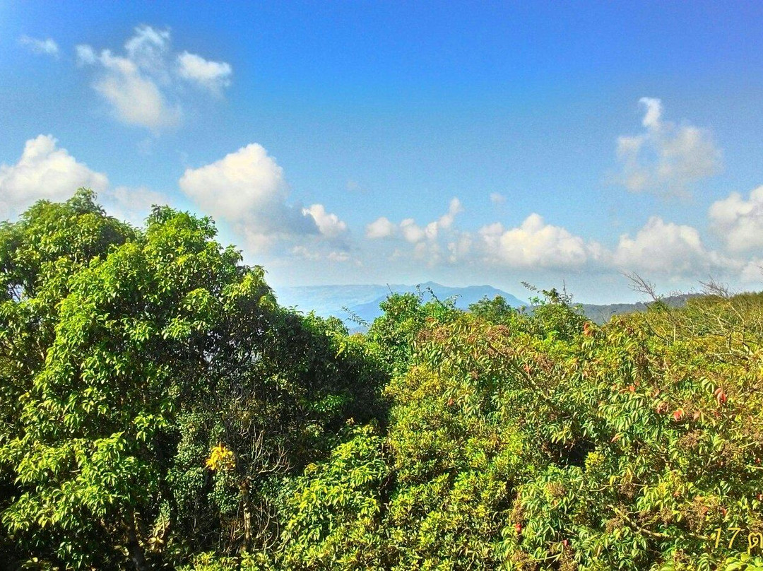 Phu Luang Wildlife Sanctuary-普茹必去景点