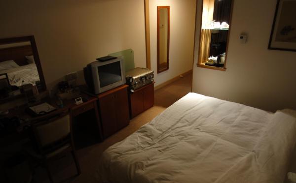 上海城市酒店-客卧