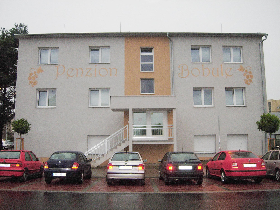 Penzion Bobule主图