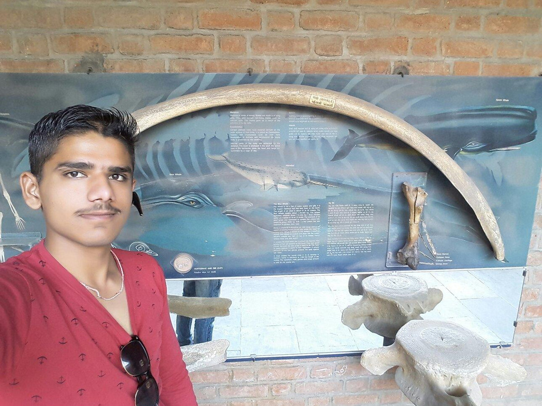 Vikram A Sarabhai Community Science Centre景点图片
