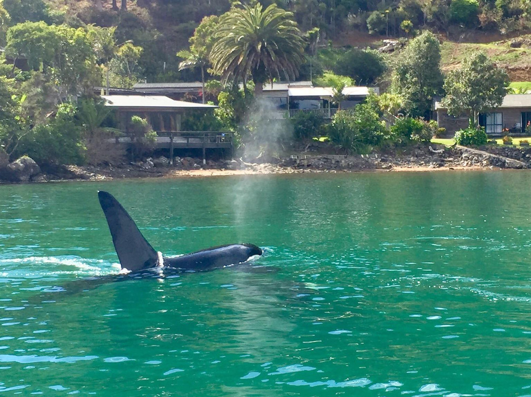 Whangaroa Harbour-Whangaroa必去景点