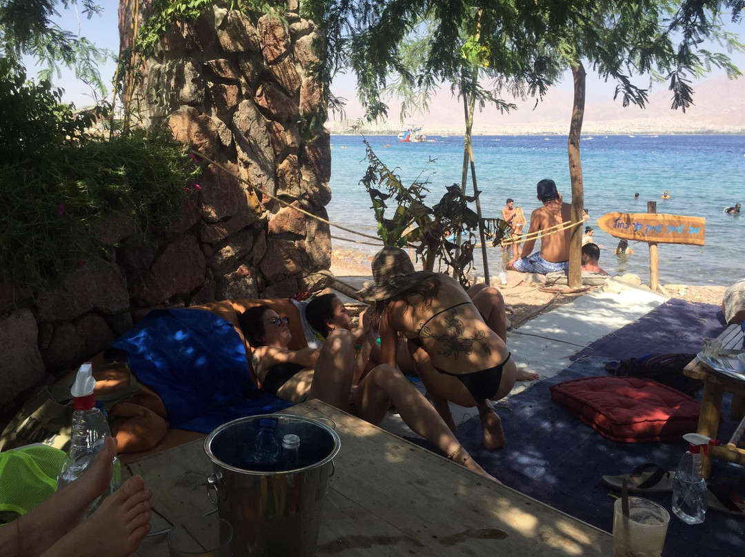 Mosh Beach-埃拉特必去景点