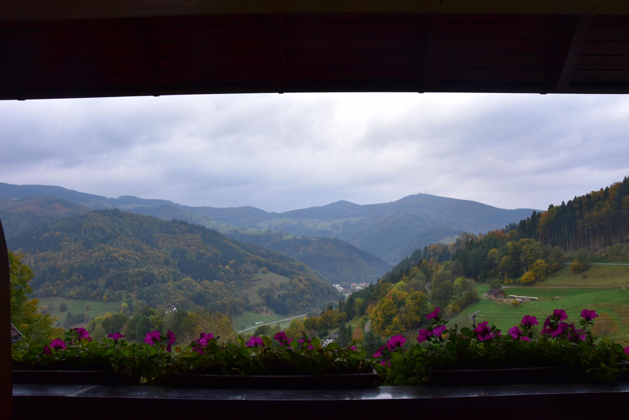 Gasthof Schluessel-客卧