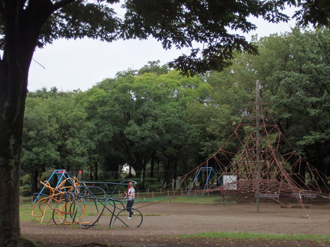 Aobadai Park-朝霞市必去景点