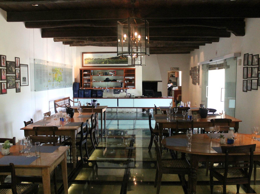 Stobers Tours-Cape Point必去景点