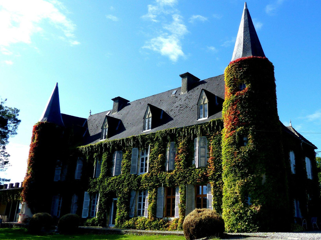 Château Lafitte景点图片