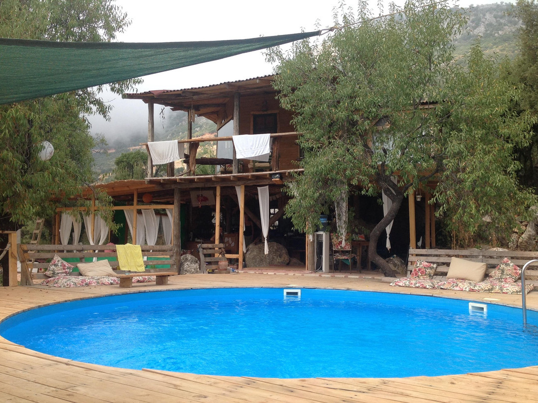 Gombe酒店住宿-Shanti Garden