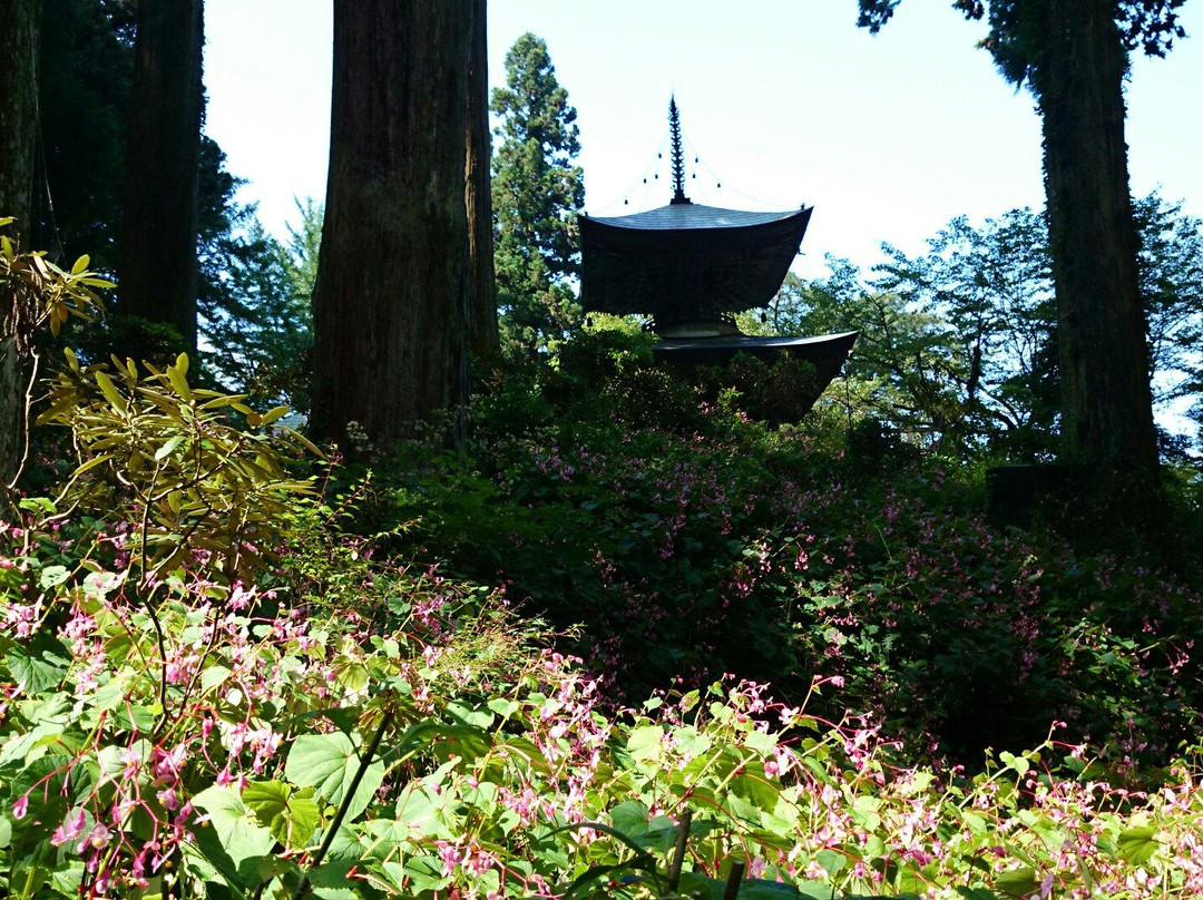 Iwawakidera Temple-河内长野市必去景点