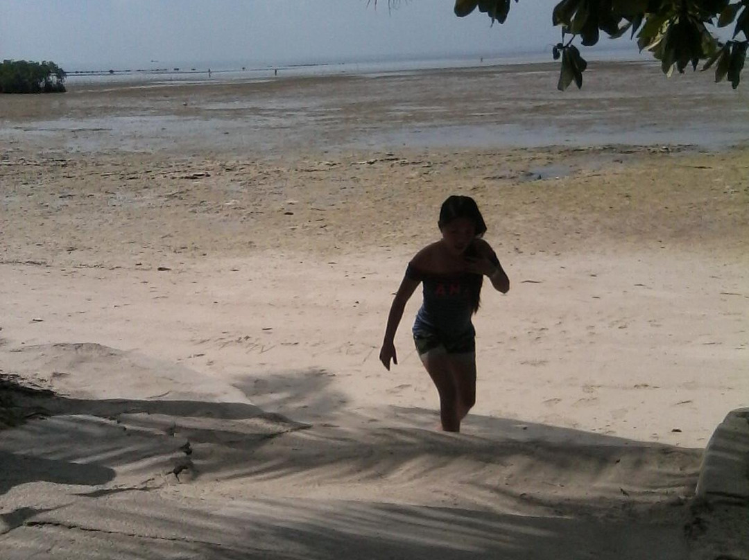 JAV Beach Resort Hotel主图