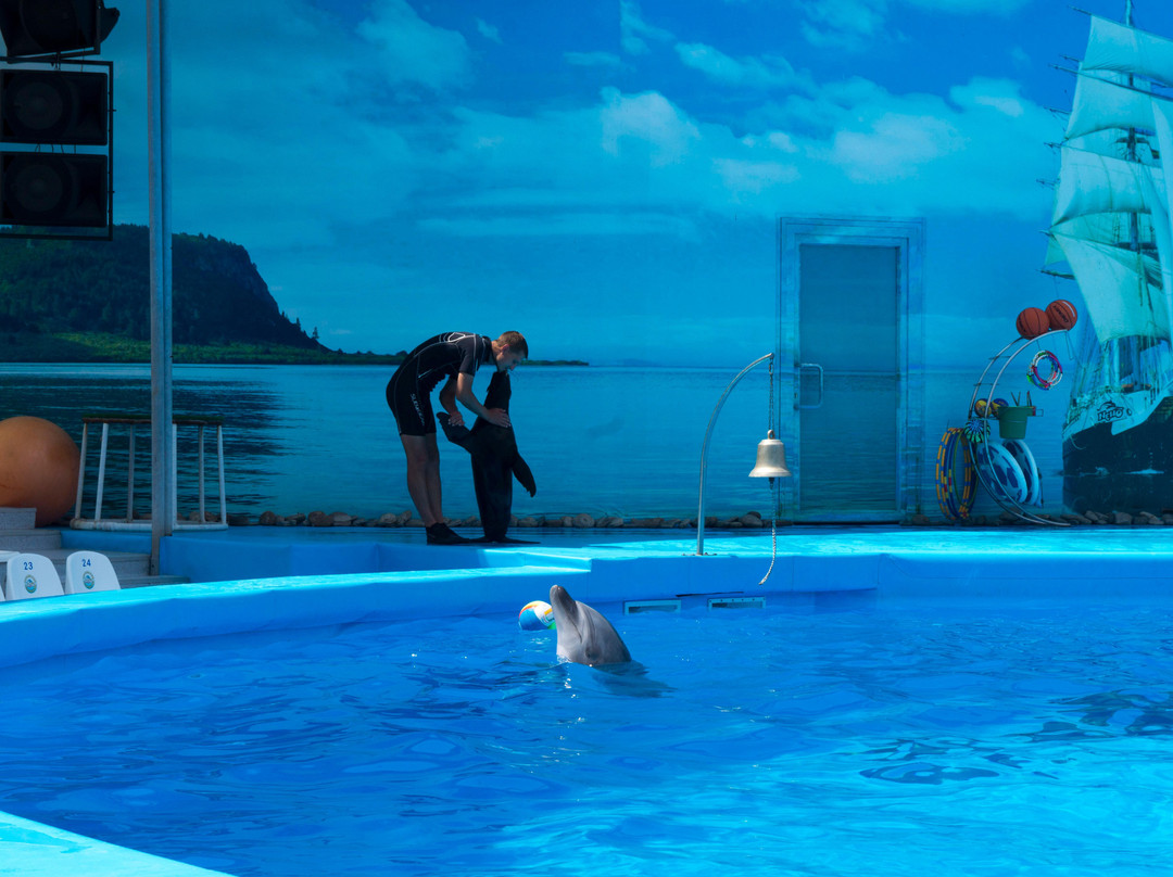 Dolphinarium Nemo景点图片