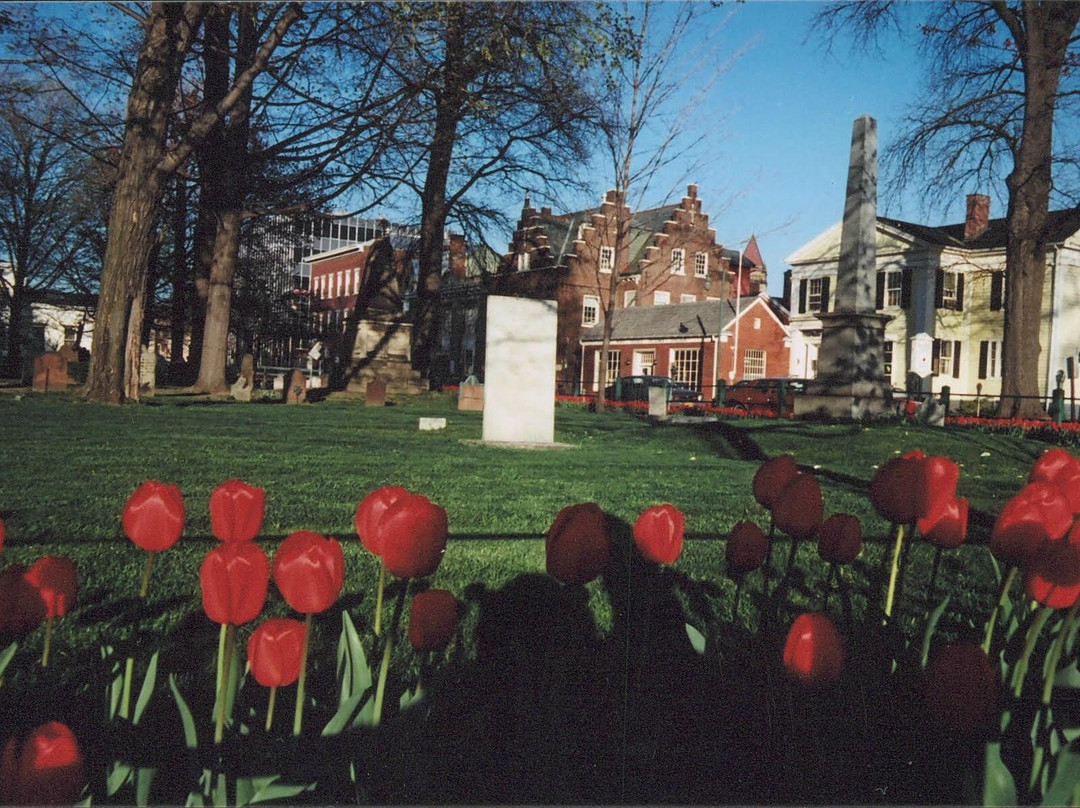 Schwartz's Inn主图