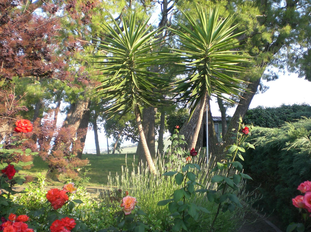 Bed and Breakfast Green Harmony主图