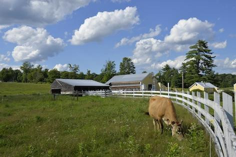 Remick Country Doctor Museum & Farm景点图片