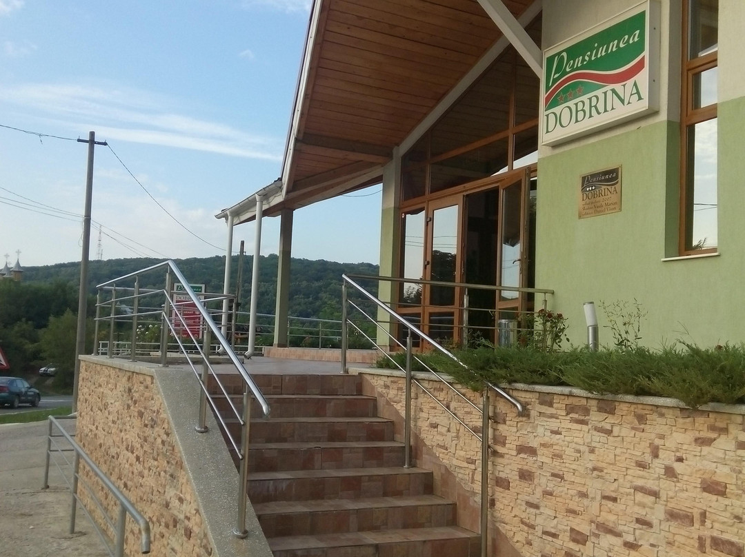 Comrat餐馆和美食-Pensiunea Dobrina