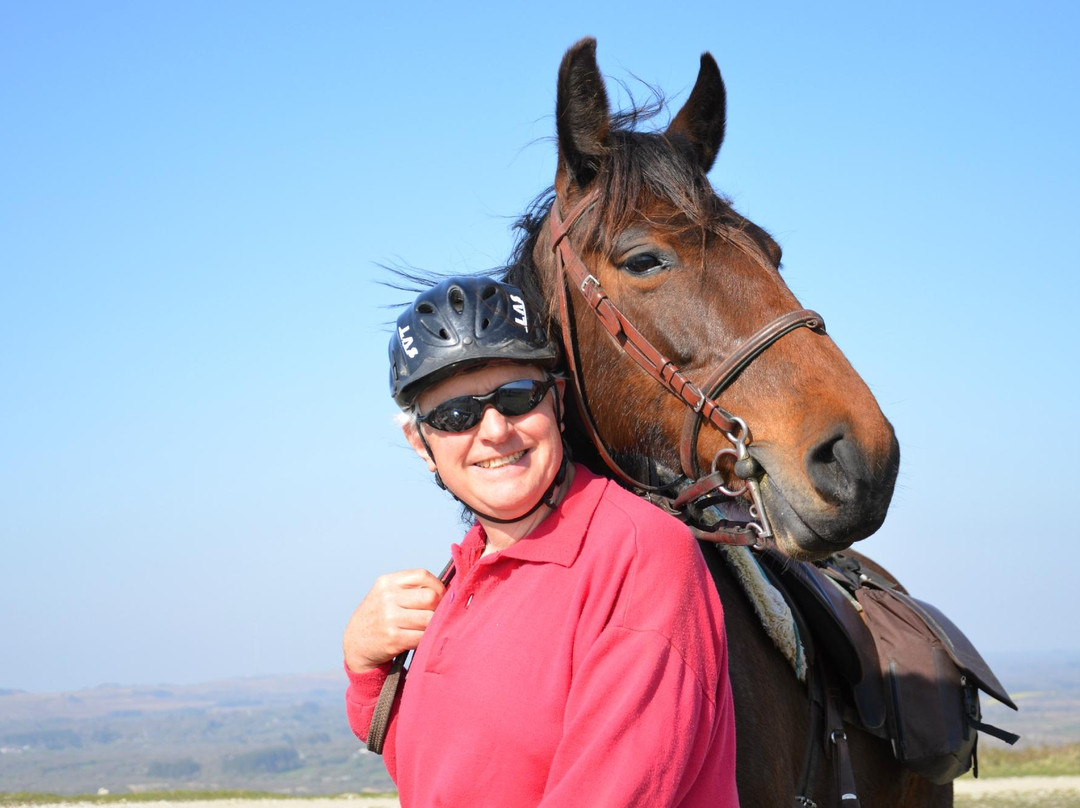 Ferme Equestre La Haie Du-Saint-Hernin必去景点