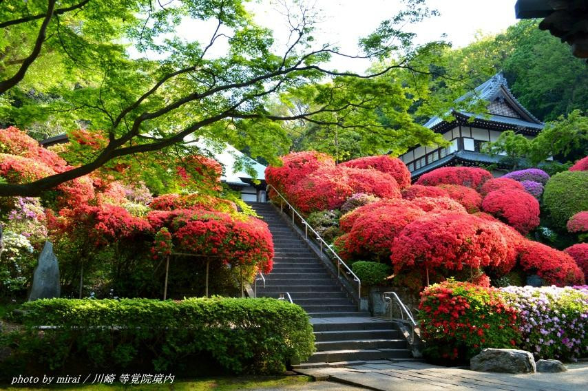 Tougakuin Temple-川崎市必去景点