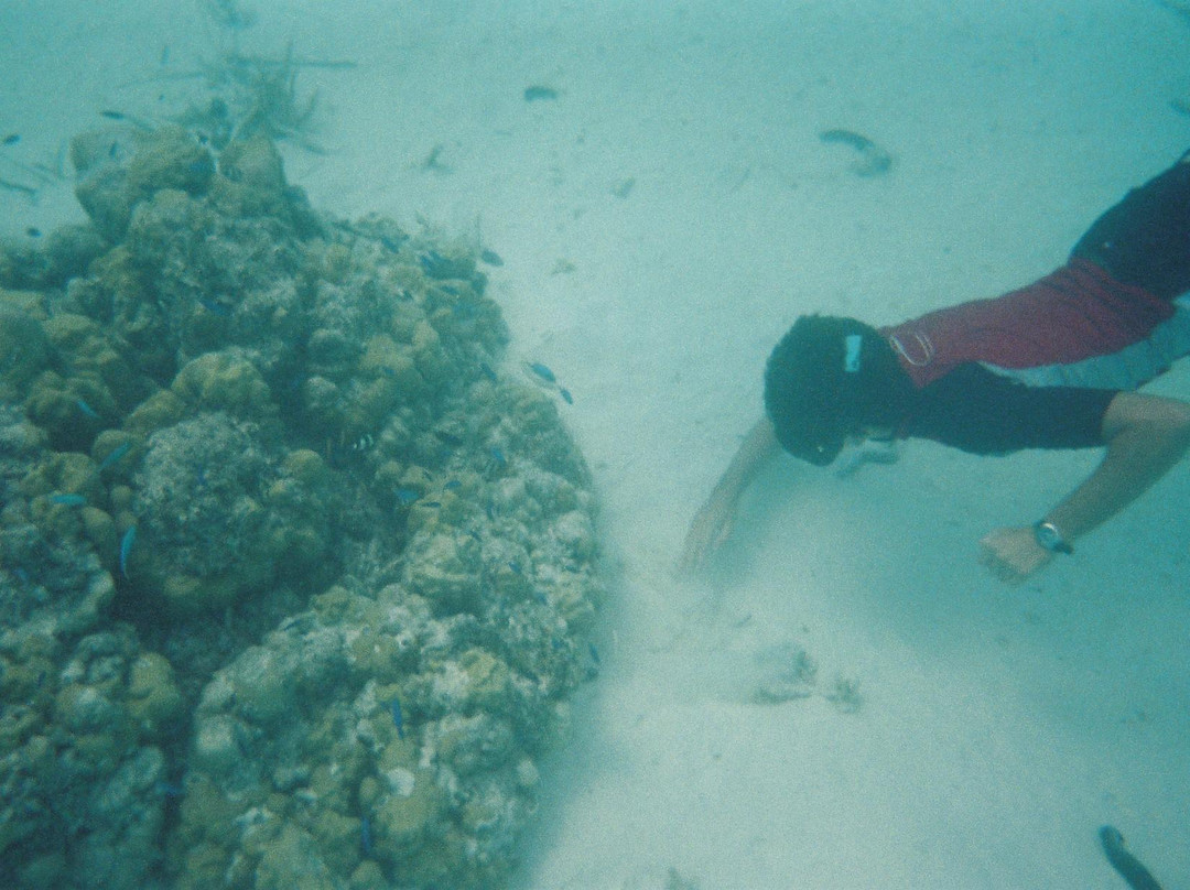 Island Explorer Holidays - Private Day Tours-West Island必去景点