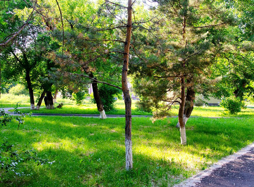 Pharmaceutic Garden-秋明必去景点