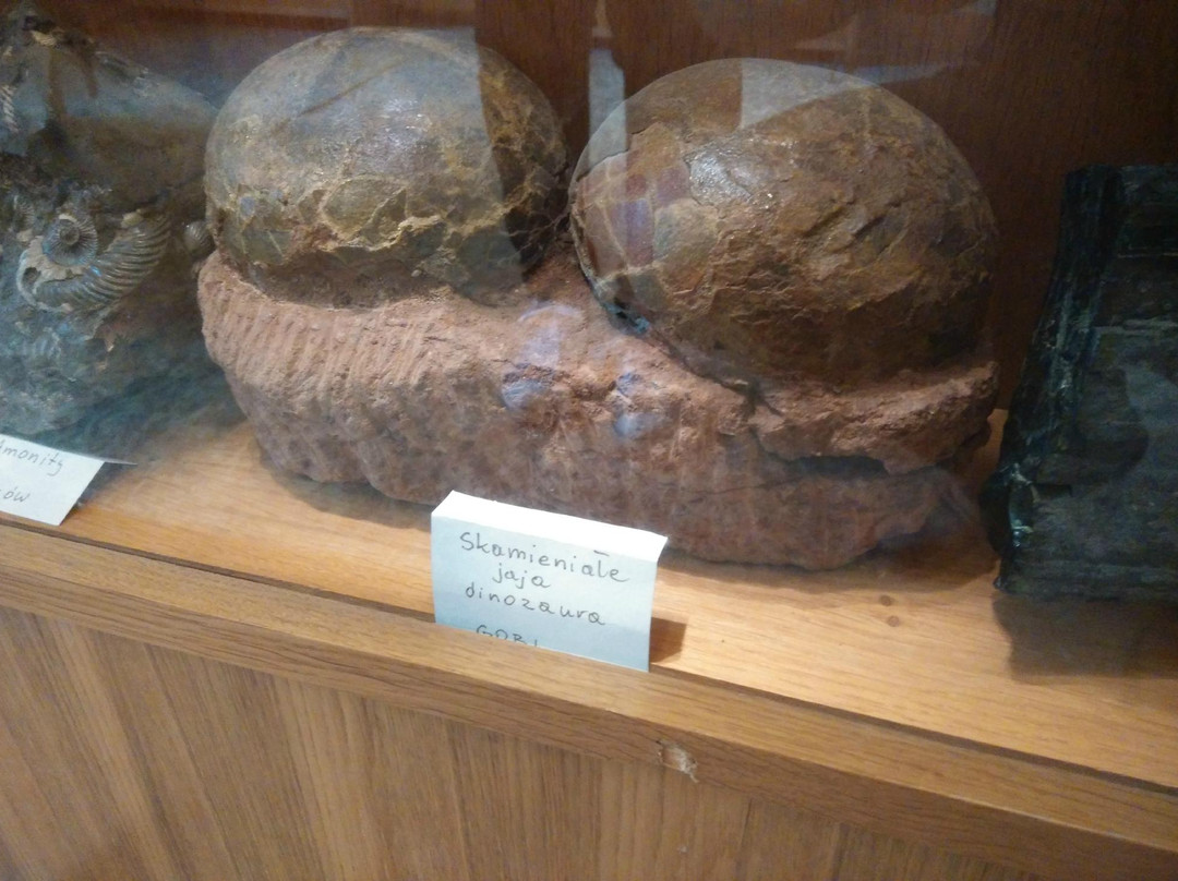Mineral Museum (Muzeum Mineralow)-Kudowa-Zdroj必去景点