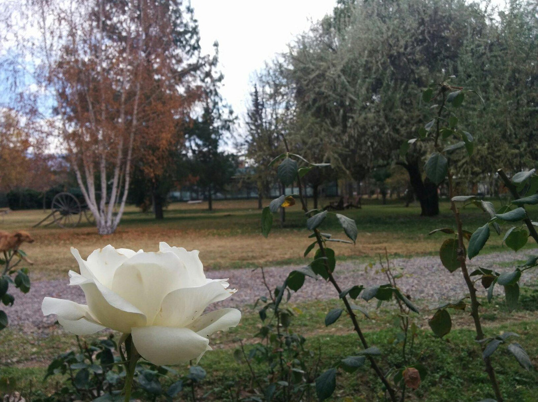 La Posada del Monje主图