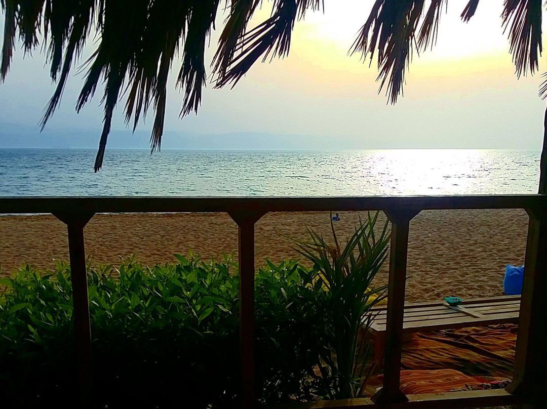 The Kite Buzz-雷斯苏勒必去景点