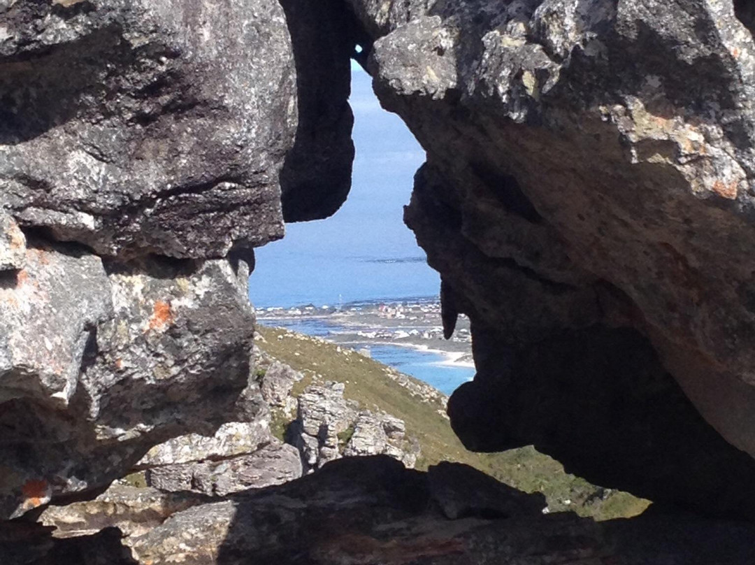 Kogelberg Nature Reserve-开普敦必去景点