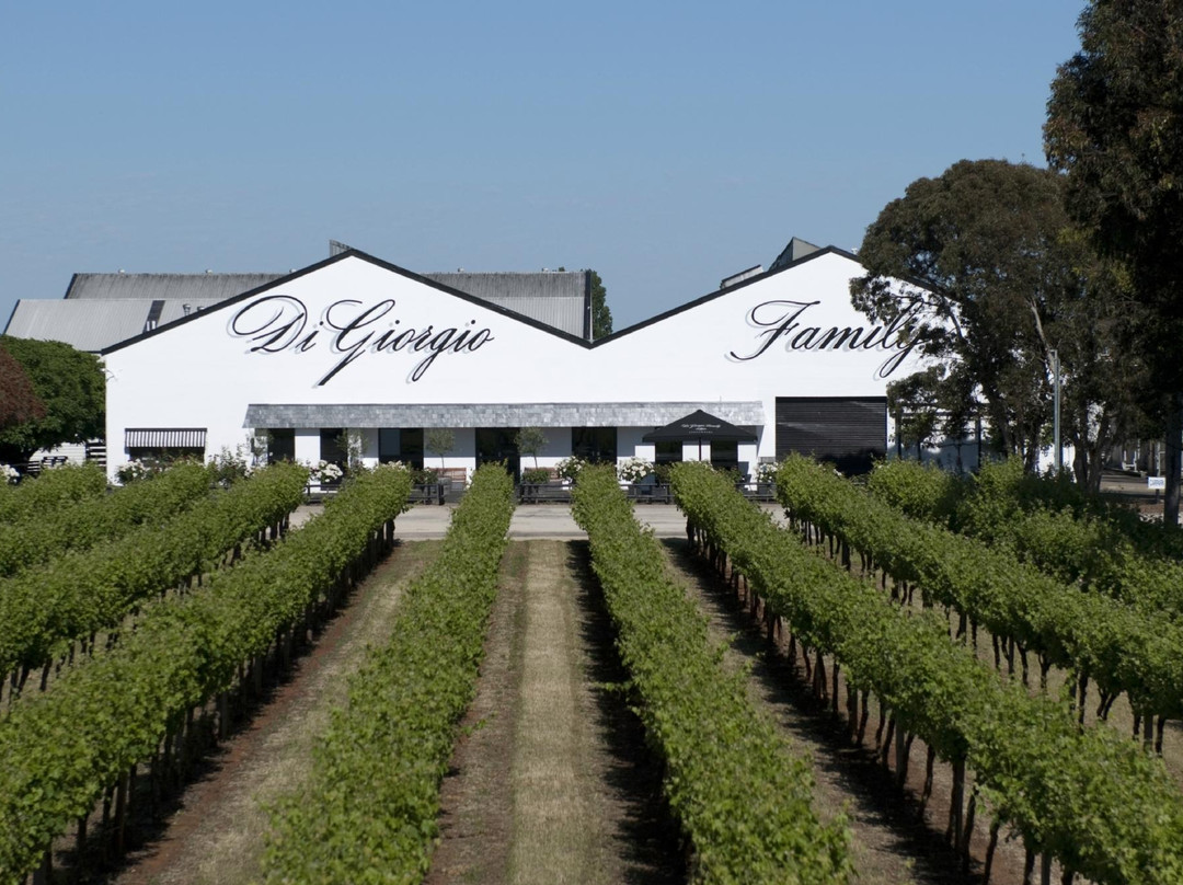 DiGiorgio Family Wines-Coonawarra必去景点