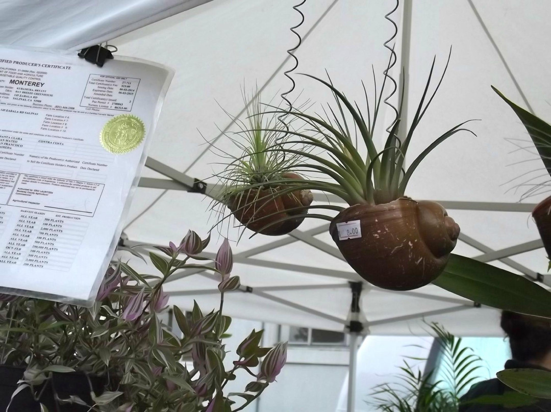 Pacific Grove Certified Farmers' Market景点图片