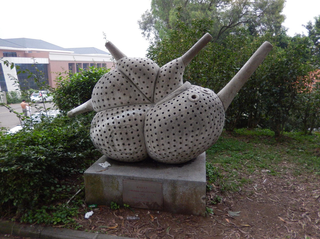 Foraminifera Sculpture Park-中山市必去景点