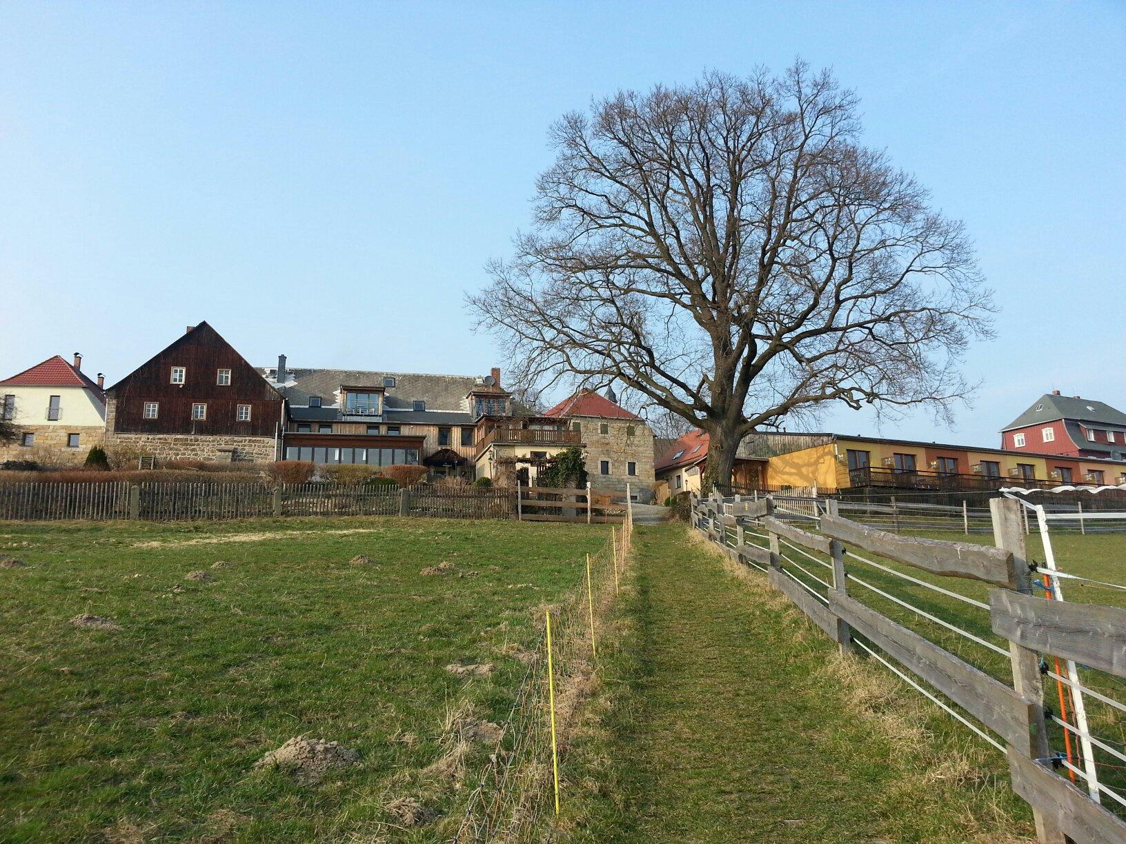 Hotel Berghof-客卧