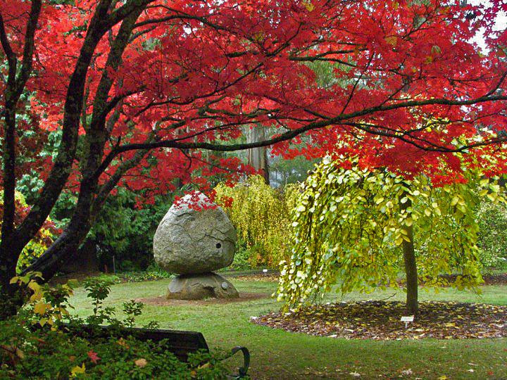 George Tindale Memorial Gardens-希尔布鲁克必去景点