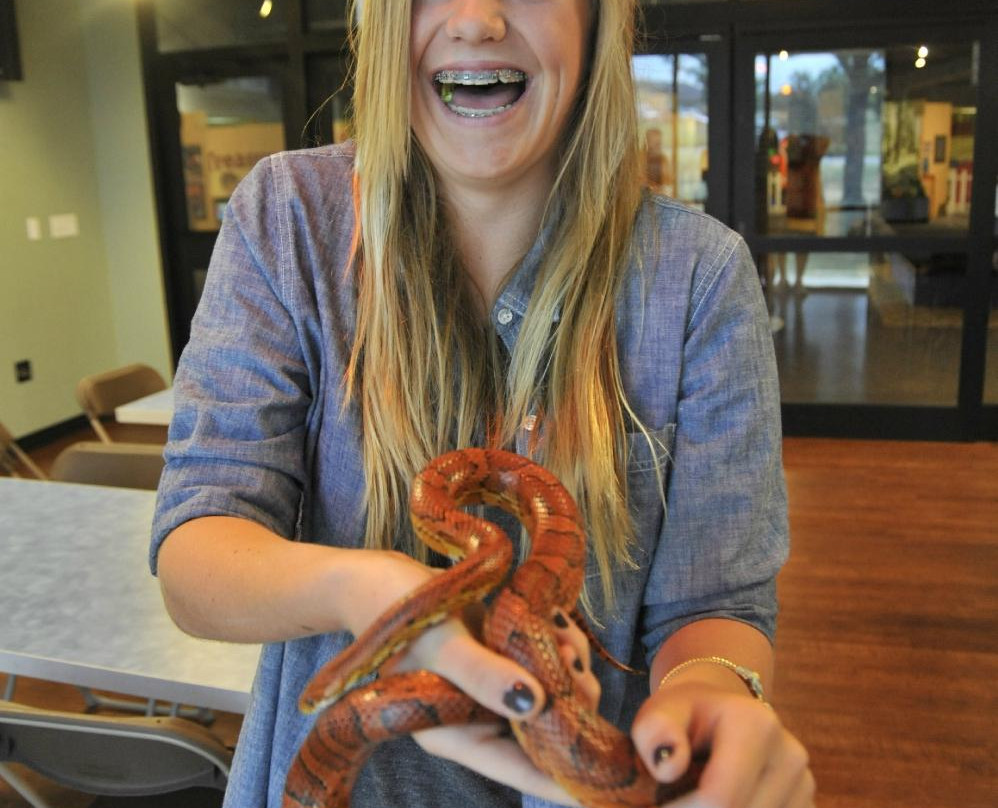 Don Harrington Discovery Center-阿马里洛必去景点