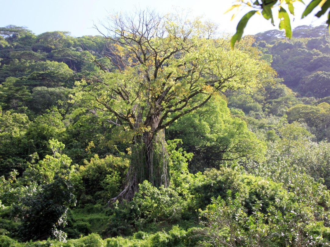 Marquises Excursions Private Tours-Nuku Hiva必去景点