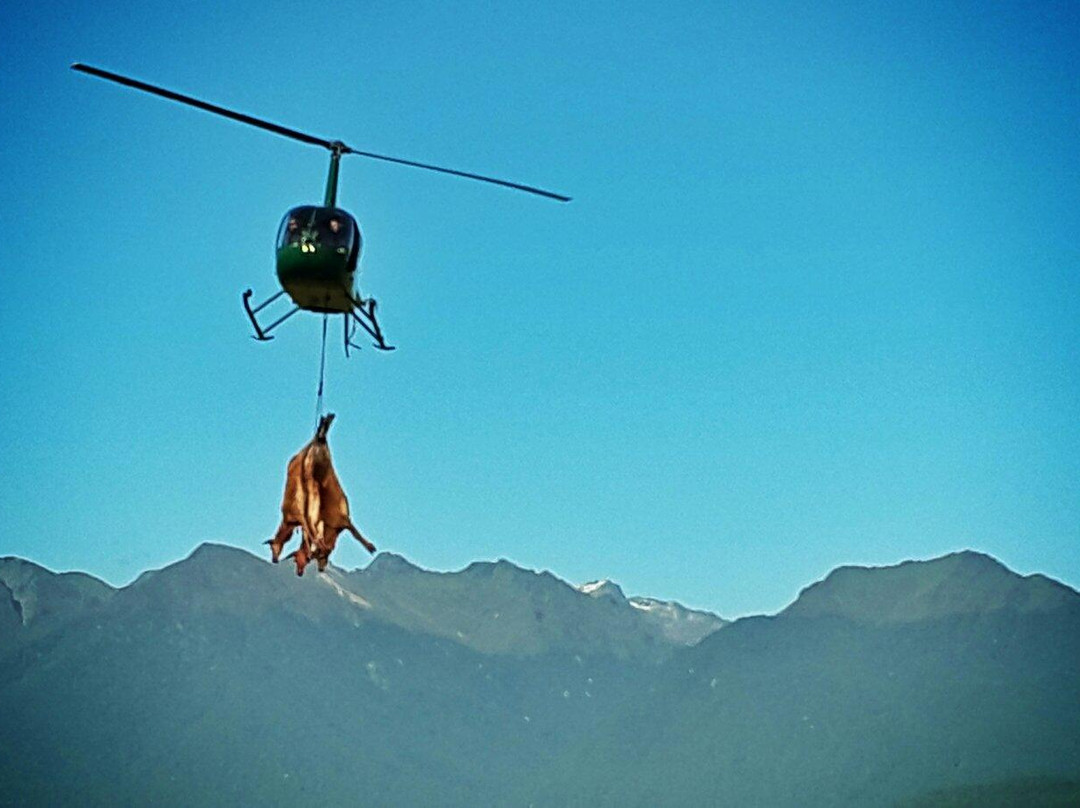 Te Anau Helicopter Services景点图片