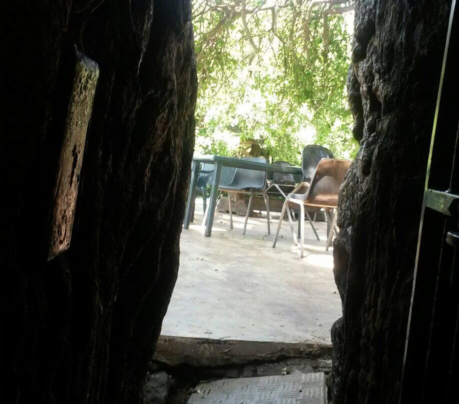 Sunland Baobab-Limpopo Province必去景点