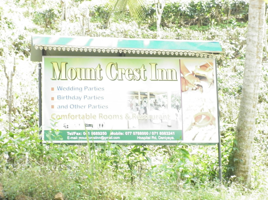 Mount Crest Inn主图