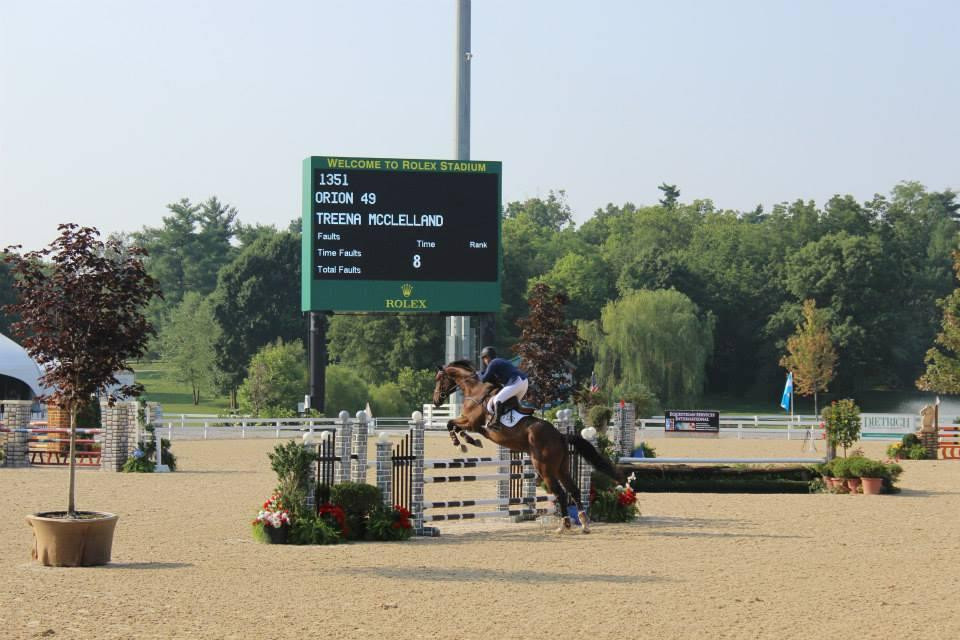 Highview Farms & Equestrian Centre景点图片