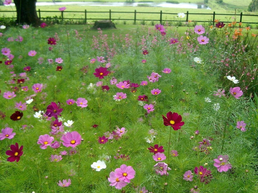 Midlands Meander-夸祖鲁-纳托尔省必去景点