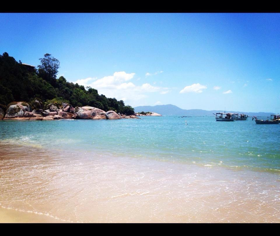 Praia Palmas do Arvoredo-Governador Celso Ramos必去景点