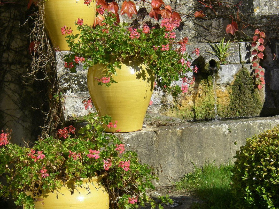 Abbaye de Fontdouce景点图片