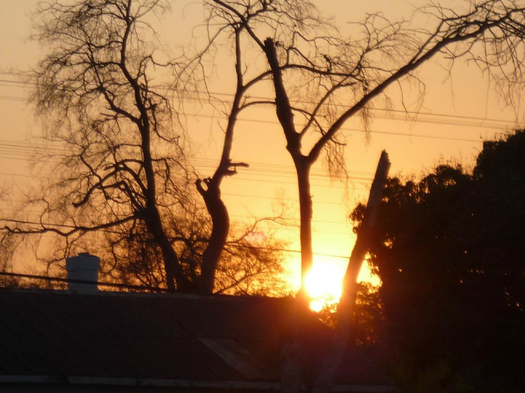 Bulawayo Town景点图片