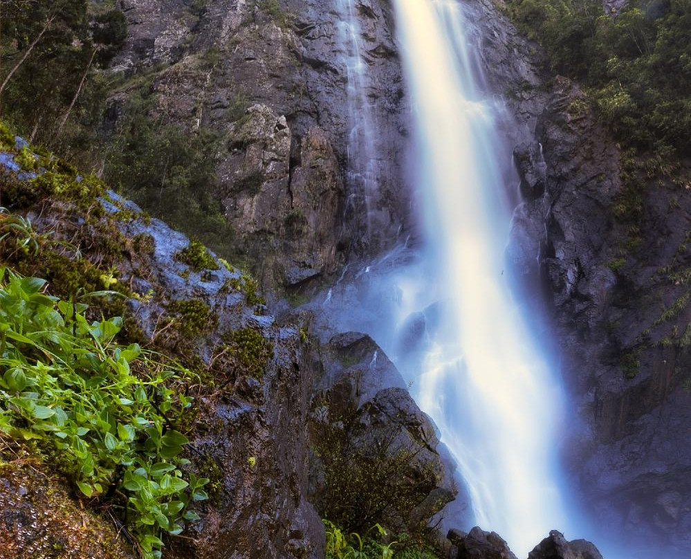 Ellenborough Falls Kiosk-Elands必去景点