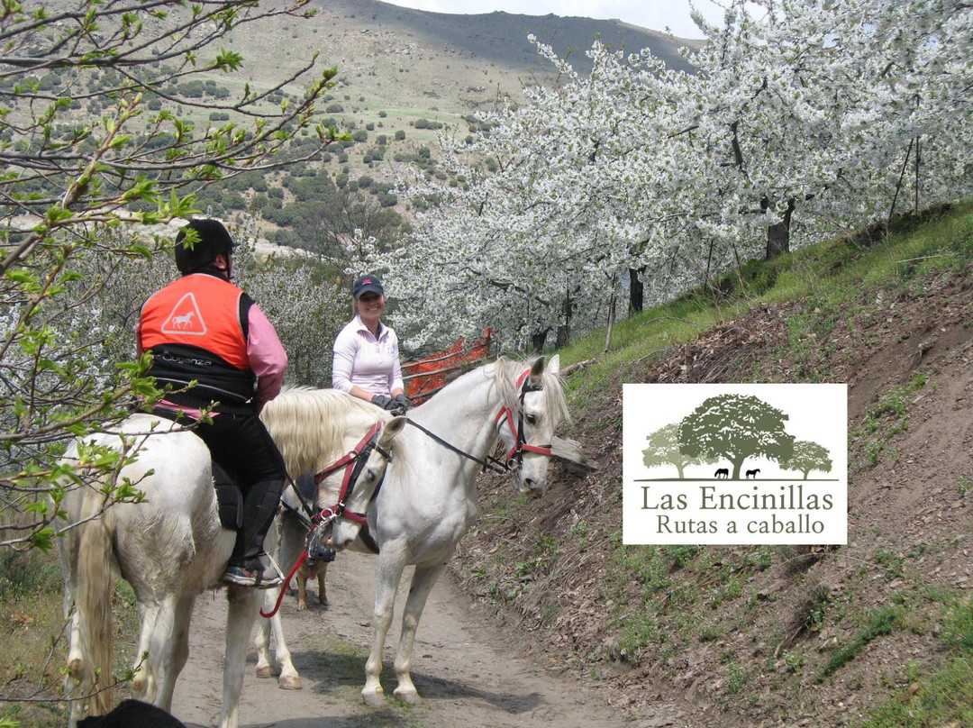 Las Encinillas Rutas a Caballo景点图片