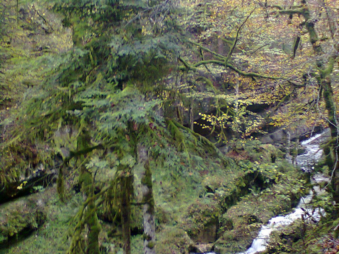 Gorges de la Poëta-Raisse-Motiers必去景点
