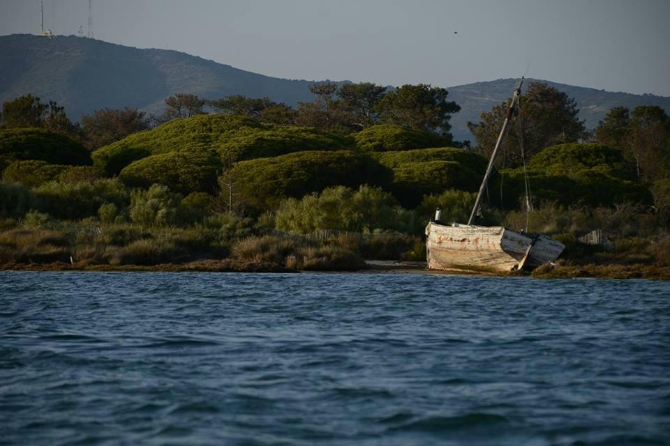 ALGARVE WOW- Day Tours-Almancil必去景点